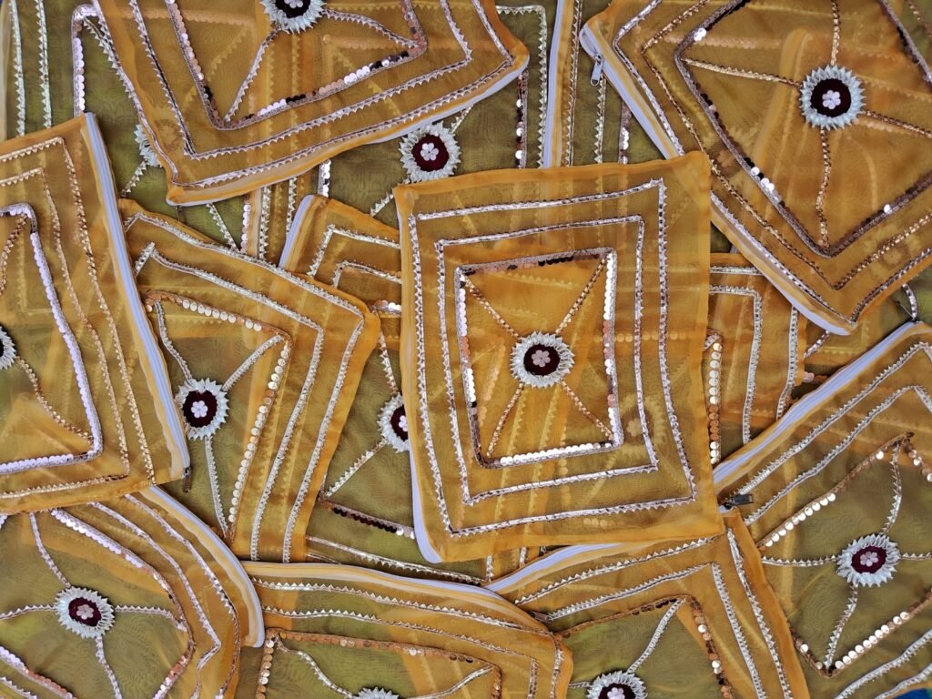 Orgenza Suit Saree Cover